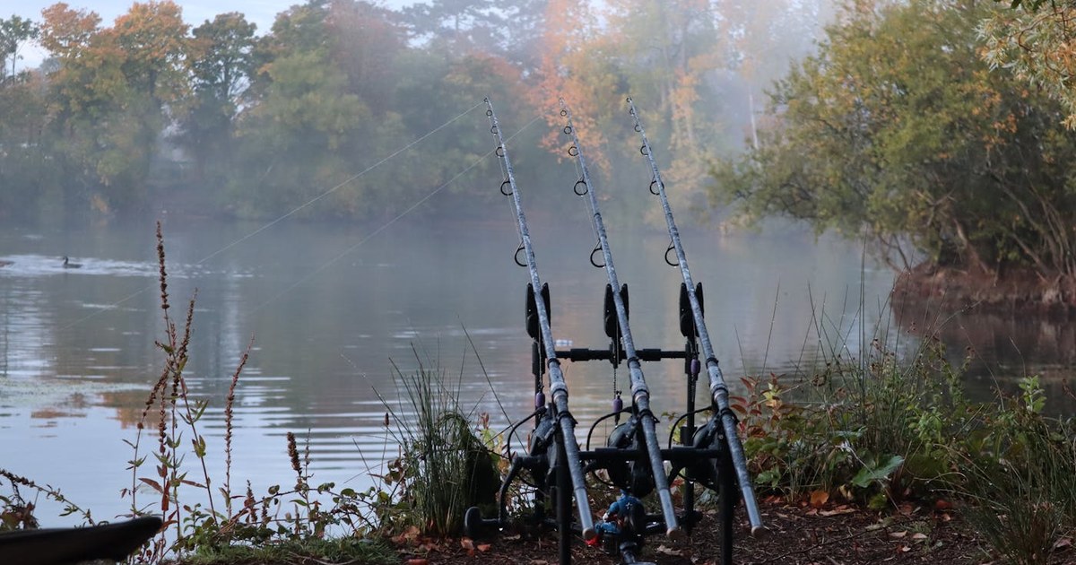Selección de cañas de carpfishing apoyadas en rod pods junto a un embalse español al atardecer